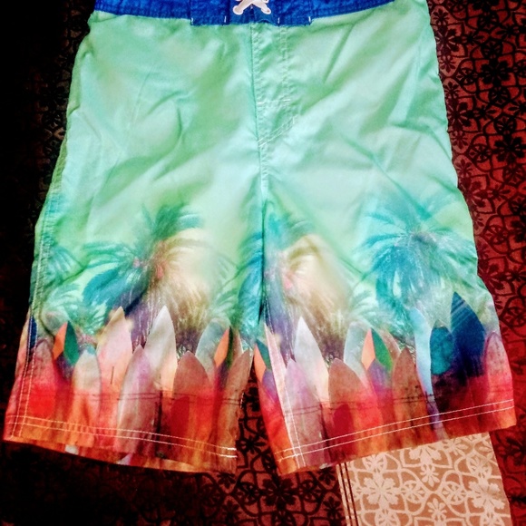 Cat & Jack Swimming Trunks (Size 16) - Picture 1 of 2